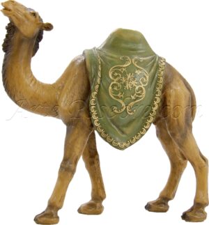Camello