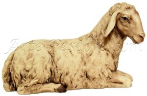 Oveja blanca tumbada