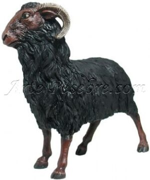 Carnero negro