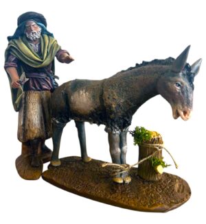 Pastor esquilando mula