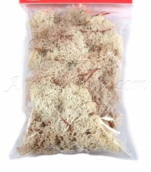 Líquen blanco 30 gr.