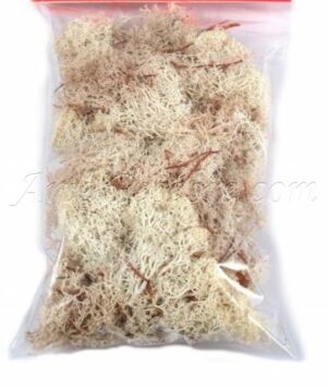 Líquen blanco 90 gr.