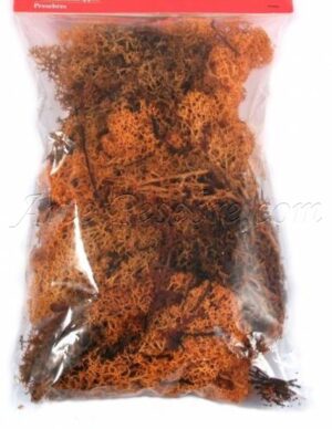 Líquen naranja 90 gr.