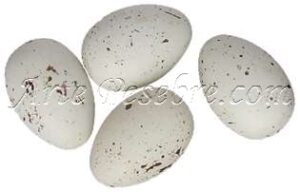 Huevos de codorniz blancos