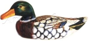 Pato de madera verde-gris